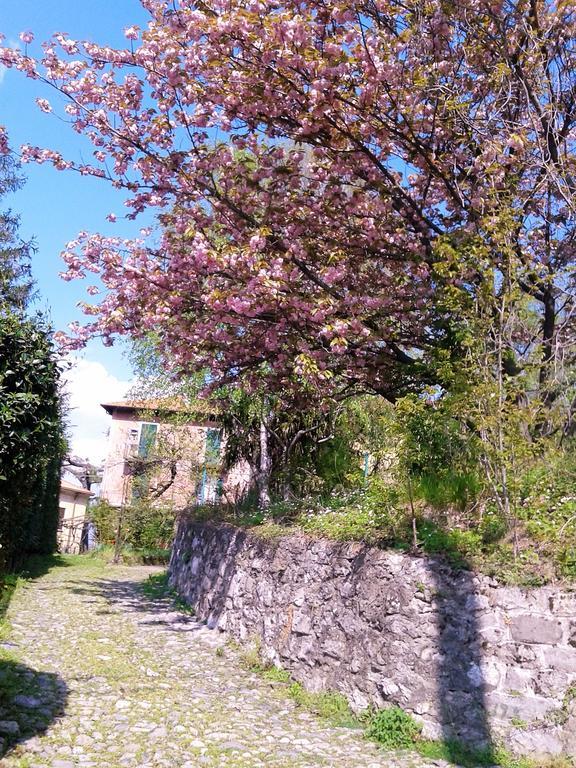La Cà del Menèc Apartamento Lierna Exterior foto